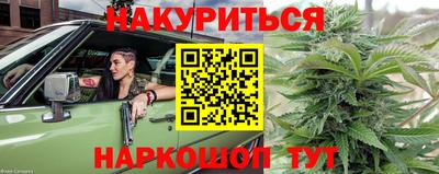 каннабис Новозыбков