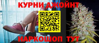 каннабис Новозыбков