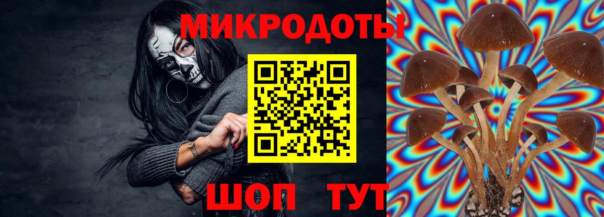 Псилоцибиновые грибы Psilocybine cubensis  Вход с VPN  Ханты-Мансийск 
